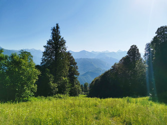 Similar image 21986009