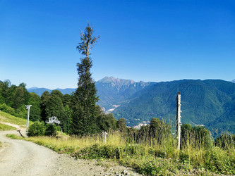 Similar image 21978610