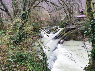 Similar image 21978612