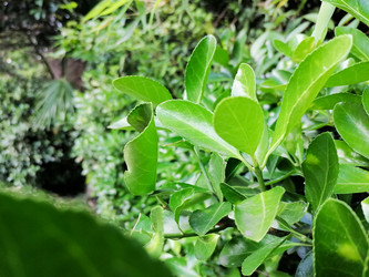 Similar image 21978613