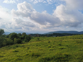 Similar image 21978009