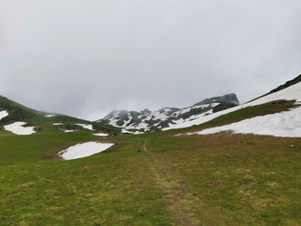 Similar image 21978010