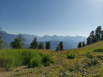 Similar image 21978013