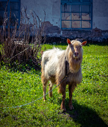 Similar image 21989711