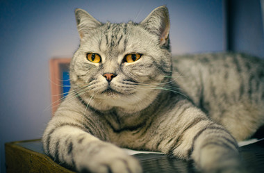 Similar image 21989714