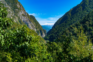 Similar image 21978044