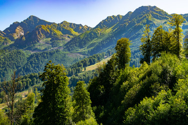 Similar image 21978045