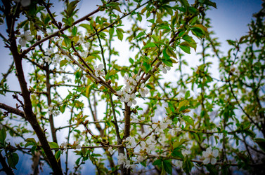 Similar image 21989718