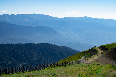 Similar image 21978047