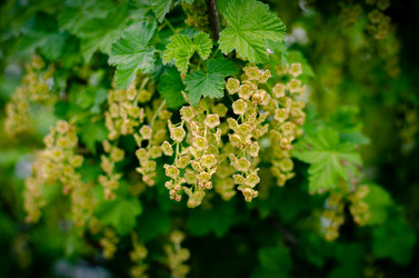 Similar image 21989719