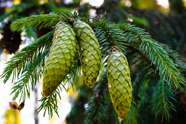 Similar image 21989721