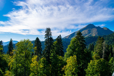 Similar image 21978050