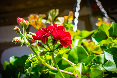 Similar image 21989729