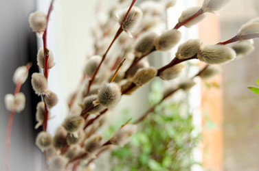 Similar image 21978058