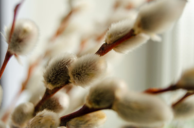 Similar image 21978059