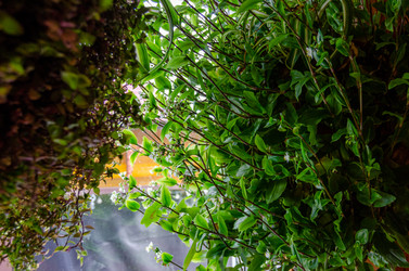 Similar image 21978061