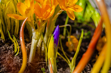 Similar image 21978066