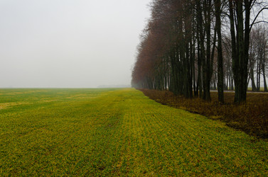 Similar image 21977187