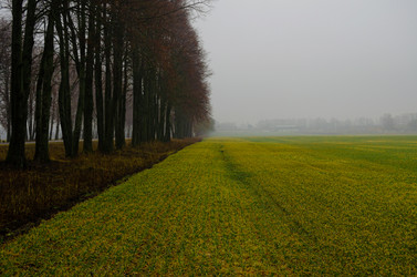 Similar image 21977188