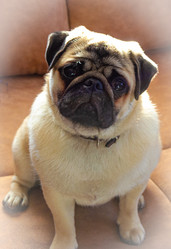 Similar image 21977190