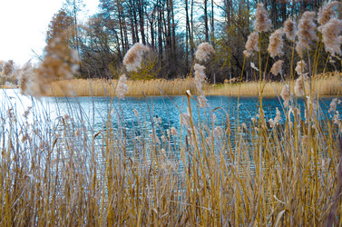 Similar image 21977191