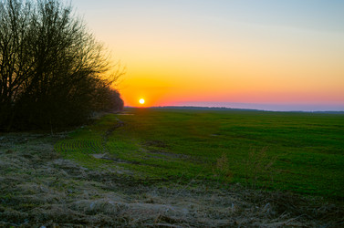 Similar image 21977194