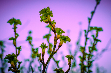 Similar image 21977195