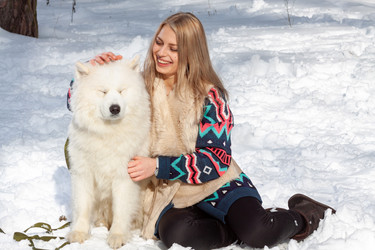 Similar image 21979158