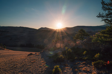 Similar image 21979781