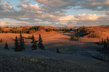 Similar image 21979784