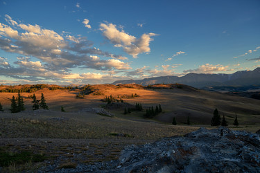 Similar image 21979785