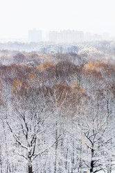 Similar image 21977059