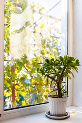 Similar image 21977062