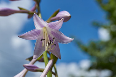 Similar image 21977196