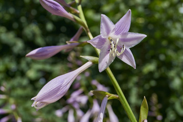 Similar image 21977197