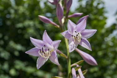 Similar image 21977198