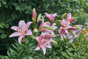 Similar image 21977199