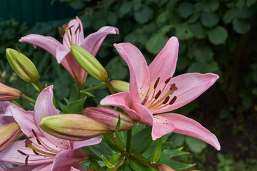 Similar image 21977200