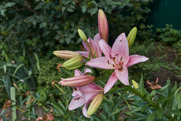 Similar image 21977201