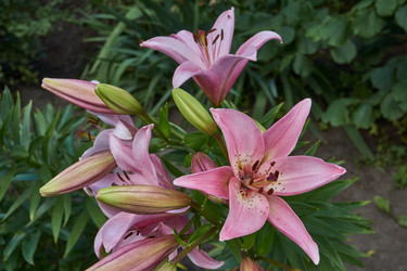 Similar image 21977570