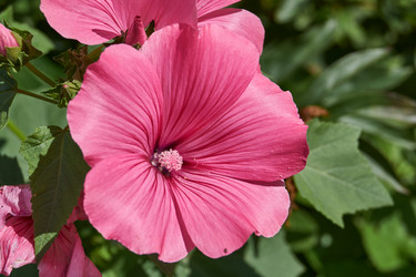 Similar image 21977571