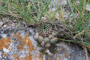 Similar image 21977069