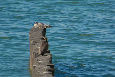 Similar image 21978390