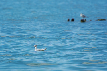 Similar image 21978391