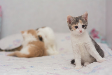 Similar image 21978398