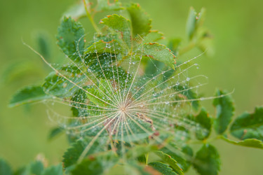 Similar image 21978404