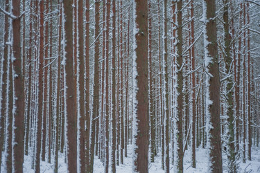 Similar image 21978406