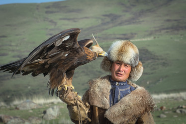 Similar image 21978409