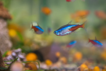 Similar image 21978200