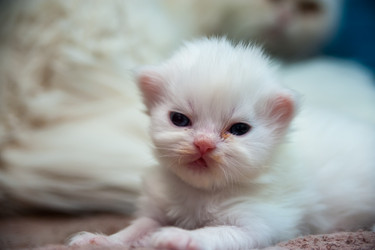 Similar image 21978201